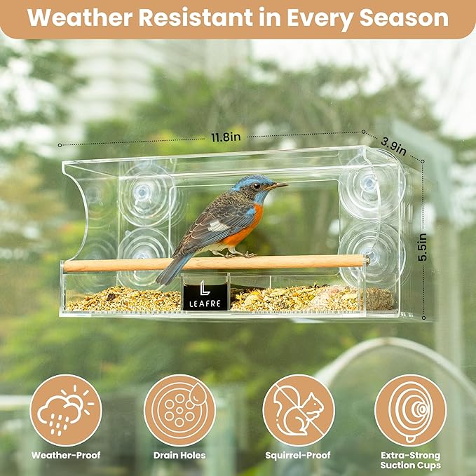 Acrylic Transparent Cat Window Set- Modern Style with Wood & Leather Straps | for Large Indoor Cats & Kittens| Washable & Easy-Cleaning Cat Bed & Hammock | Cat Funiture, Accessories & Gifts