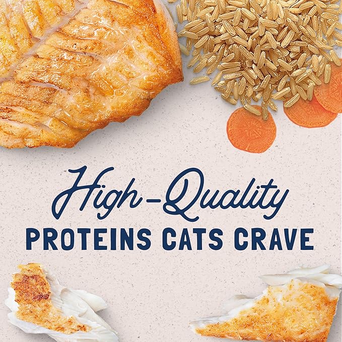 Natural Balance Original Ultra Adult Wet Canned Cat Food, Ocean Fish Recipe, 5.5 Ounce (Pack of 24)
