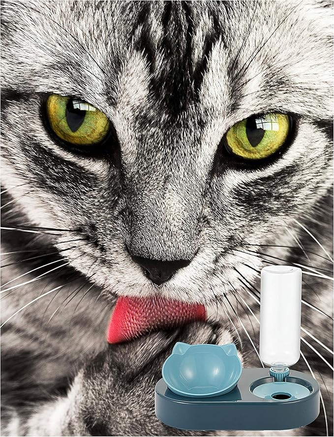 Cat Bowl, Feeding & Watering Supplies for Cats, Cat Food Bowls with 0-15°Adjustable Tilted, Gravity Water,Pet Food Bowl for Cats and Small Dogs, Blue