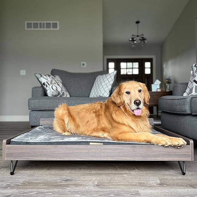 Wooden Dog Bed and Dog Couch with Water-Resistant and Calming Mattress, Large to Extra Large Elevated Pet Bed, Greenguard Gold Certified, Dog Beds & Furniture, Chase - TailZzz