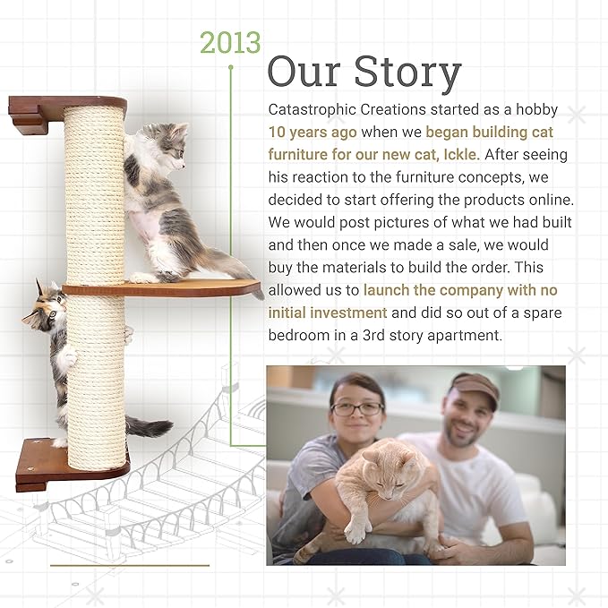 CatastrophiCreations Cat 18" Shelf Handcrafted Elevated Wall, Natural Bamboo, one Size