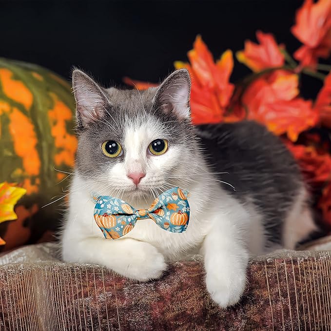 Thanksgiving Cat Collar Set with Bell, Autumn Pumpkin Thanksgiving Harvest Holiday Cat Collar for Boys and Girls Kitty Kittens