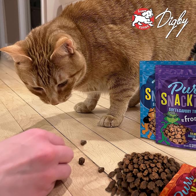 Fromm PurrSnackitty Liver Flavor Snackitties Treats - Premium Soft & Savory Cat Treats - 3 oz