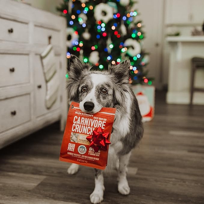 Stella & Chewy's Mixed Protein Treats, 5 Item Big Bundle