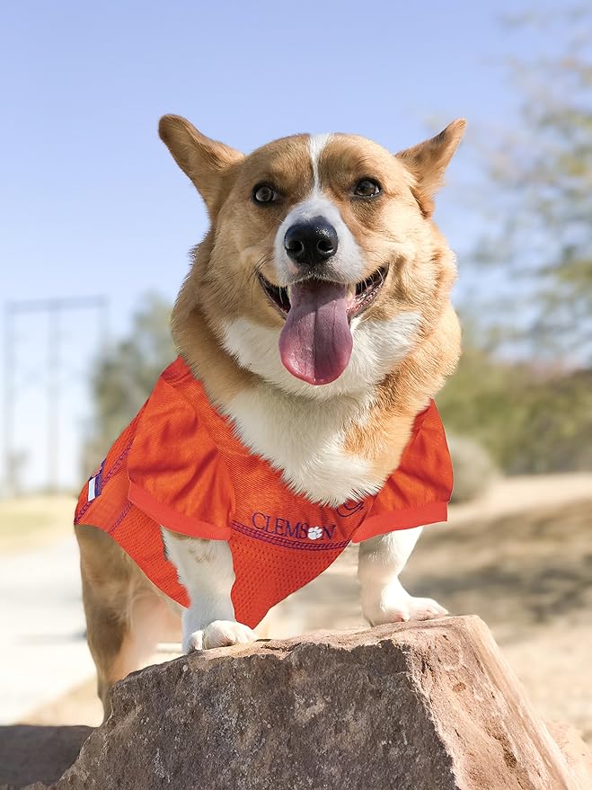 NCAA College Clemson Tigers Mesh Jersey for Dogs & Cats, Medium. Licensed Big Dog Jersey with Your Favorite Football/Basketball College Team (Pack of 2)