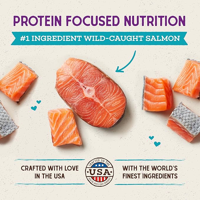 Stella & Chewy's Raw Coated Cat Food - High Protein, Grain-Free Kibble with Wild-Caught Salmon - Premium Digestive Support with Probiotics - Natural Small Kibble - Perfect for Picky Eaters - 5 lb Bag