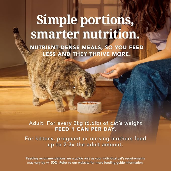 Feline Natural New Zealand Canned Wet Food, High-Meat, Low-Carb, & Grain Free Cat Food Wet, Lamb and Venison, 6 oz, Pack of 12