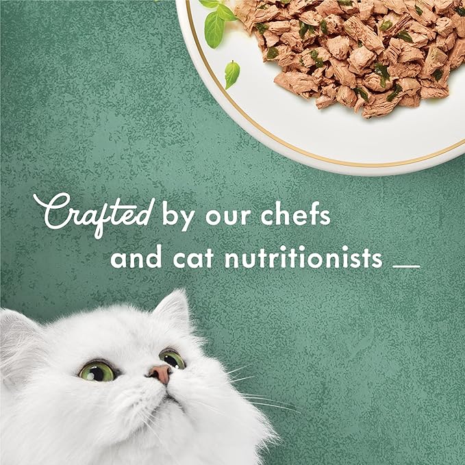 Purina Fancy Feast Wet Cat Food, Medleys Shredded Wild Salmon Fare With Spinach in a Savory Cat Food Broth - (Pack of 24) 3 oz. Cans