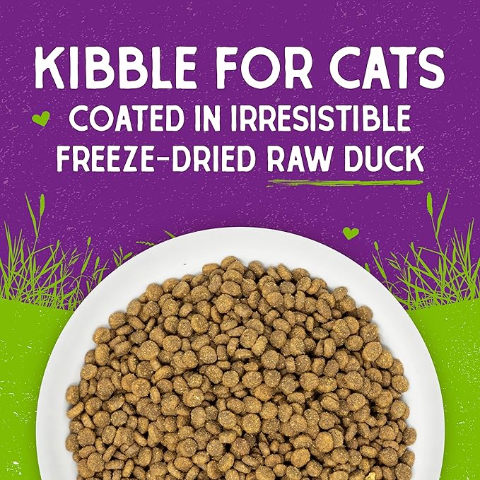 Stella & Chewy's Raw Coated Cat Food - High Protein, Grain-Free Kibble with Cage-Free Duck - Premium Digestive Support with Probiotics - All Natural Small Kibble - Perfect for Picky Eaters - 5 lb Bag
