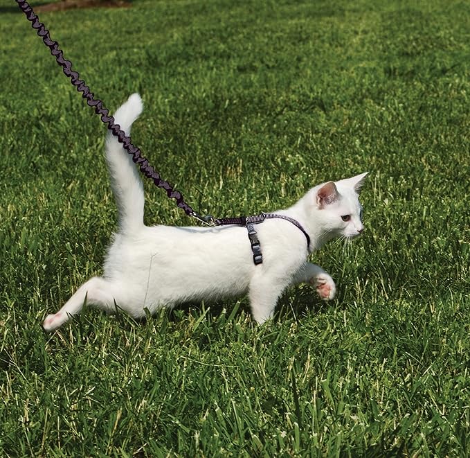 PetSafe Come with Me Kitty Harness and Bungee Leash Adjustable, Lightweight Harness for Cats Small, Black