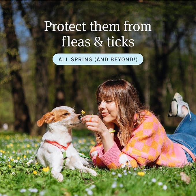 PetArmor Plus Flea and Tick Prevention for Dogs, Medium Dog Flea and Tick Treatment, 1 Dose, Waterproof Topical, Fast Acting (23-44 lbs)