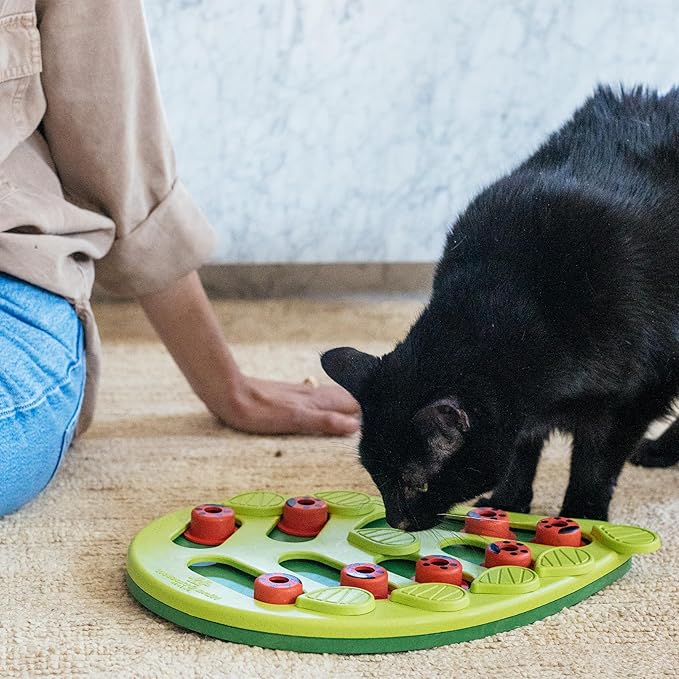 Catstages Nina Ottosson Buggin’ Out Puzzle & Play Cat Puzzle Feeder – Interactive Treat Game for Indoor Cats, Level 2 Slow Feeder Enrichment Toy, 13.9" x 11.5"