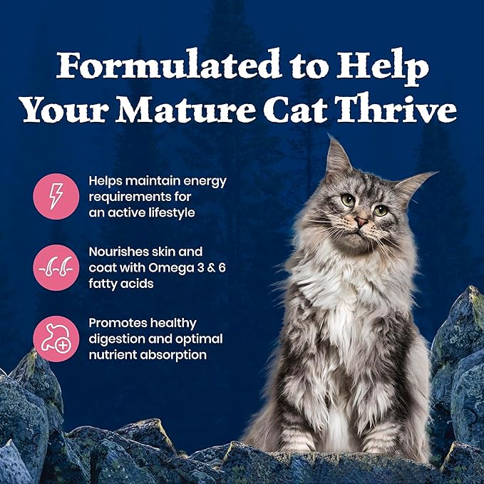 Blue Buffalo Wilderness High-Protein & Grain-Free Dry Food for Mature Adult Cats 7+, Made with Natural Ingredients, Salmon Recipe, 5lb Bag