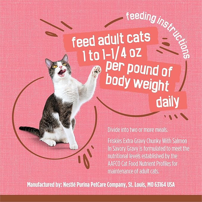 Purina Friskies Extra Gravy Wet Cat Food Chunky With Salmon in Savory Gravy - (Pack of 24) 5.5 oz. Cans