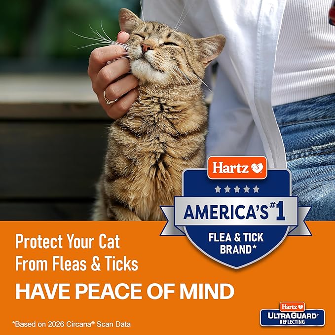 Hartz UltraGuard Plus Cat Flea & Tick Spray, 8 oz