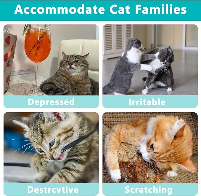5pcs Catnip Toys, Fun Cat Toys, Bite Resistant, Indoor Cartoon Cat Toys for Cats, Cat Chew Toys