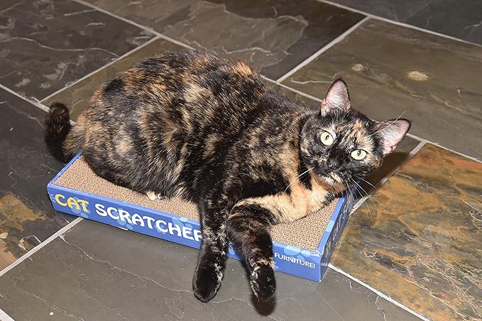 Flat Cat Scratcher Lounger with Two Reversible Double Wide Corrugated Cardboard Surfaces