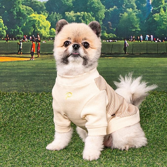 Puppia Francis Dog Shirt Round NeckTrendy Fashionable Cute Dog Apparel for Small and Medium Dogs, Beige, Small
