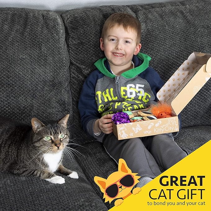 Kitty City Basic Cat Toy Box, Brown
