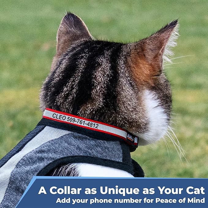 GoTags Reflective Cat Collar Personalized, Custom Cat Collar with Engraved Name and Phone Number, Safety Collar with Breakaway Release Buckle and Bell, Adjustable for Cats and Kitten 5 Colors