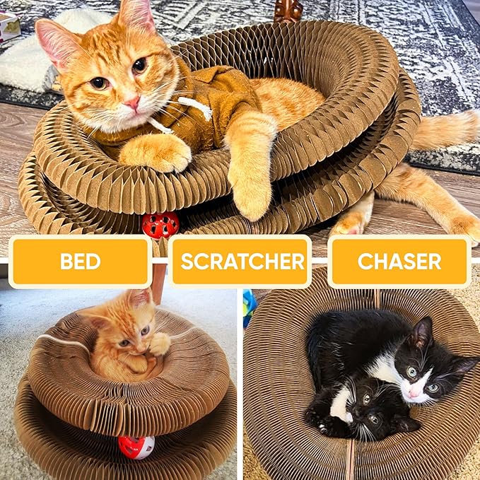 KITTY KURLZ Interactive Cat Toy & Cardboard Cat Scratcher, Collapsible Ball Track with Bell, Reversible Scratch Ring for Play, Chase and Lounge
