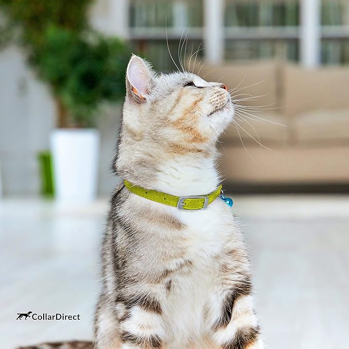 CollarDirect Leather Cat Collar with Removable Bell – Safety Elastic Strap (Breakaway Alternative) – Kitten Collar for Small & Big Boy & Girl Cats
