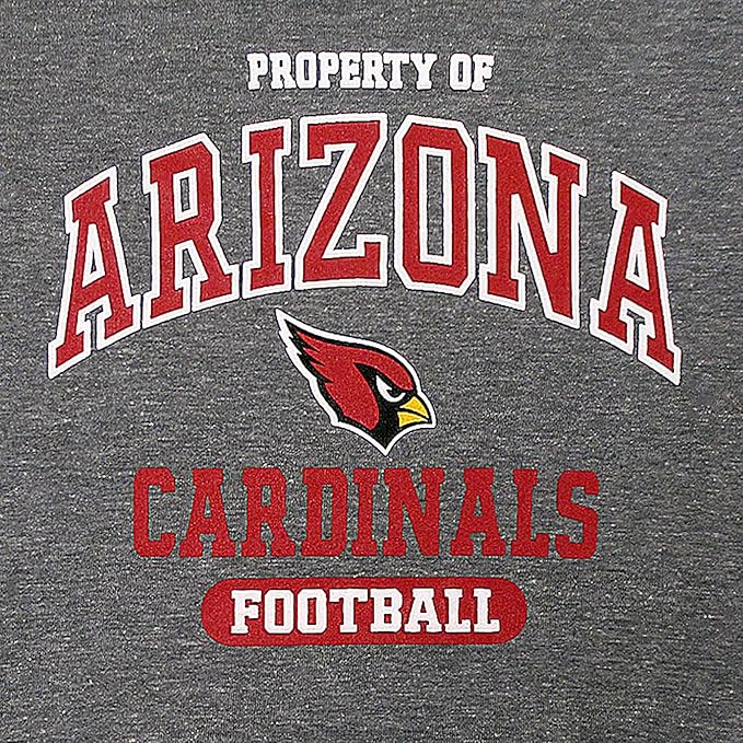 NFL Arizona Cardinals Dog T-Shirt for Pets, Size X-Small. Officially Licensed Pet Shirt with Team Logo, Soft Stretchable Comfort Fit Apparel for Dogs & Cats
