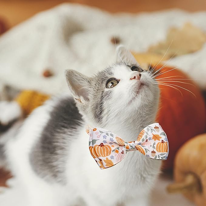 Thanksgiving Cat Collar Set with Bell, Autumn Pumpkin Thanksgiving Harvest Holiday Cat Collar for Boys and Girls Kitty Kittens