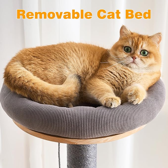 HITTITE Solid Wood Cat Tree Tower with Scratching Post, 61 Inches Tall Cat Towers with Capsule and Condo, Modern Cat Tower with Climbing Ladder and Removable Top Bed for Indoor Cats.Grey