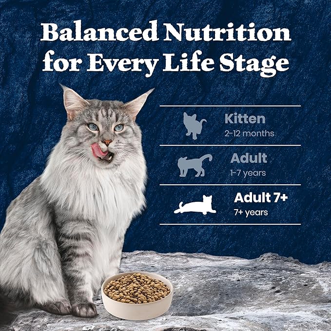 Blue Buffalo Wilderness High-Protein & Grain-Free Dry Food for Mature Adult Cats 7+, Made with Natural Ingredients, Salmon Recipe, 5lb Bag