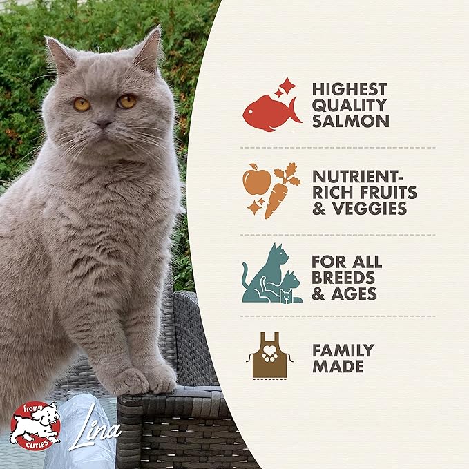 Fromm Four-Star Nutritionals Salmon A La Veg Cat Food - Premium Dry Cat Food - Salmon Recipe - 4 lb