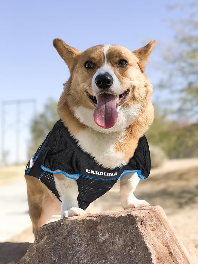 NFL CAROLINA PANTHERS DOG Jersey, X-Large