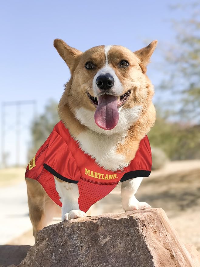 NCAA College Maryland Terrapins Mesh Jersey for Dogs & Cats, Large. Licensed Big Dog Jersey with Your Favorite Football/Basketball College Team (Pack of 2)
