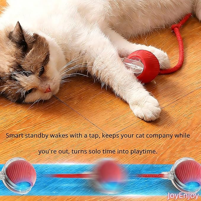 Interactive Cat Toy Ball Automatic Rolling Smart Cat Ball with Tail Motion Activated USB Rechargeable 3 Speed Modes Bird Chirping Durable Silicone Pet Toy for Indoor Cats Multiple Colors (Red)
