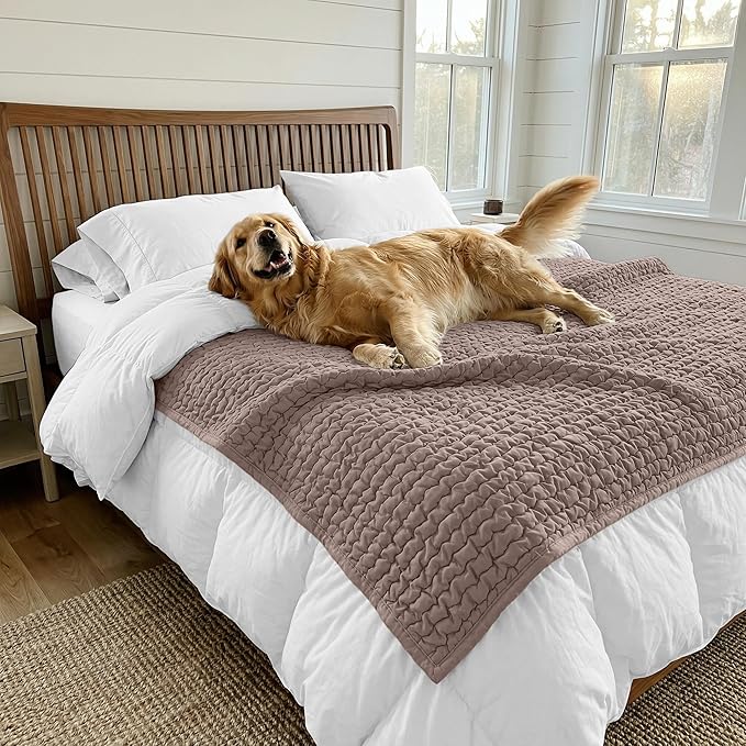 PAULATO BY GA.I.CO. Waterproof Blanket for Bed – Queen Absorbent Couch Cover – Machine Washable Stain-Proof Pad for Large Sofa – Pets Dogs & Cats Friendly Protector - Marsala