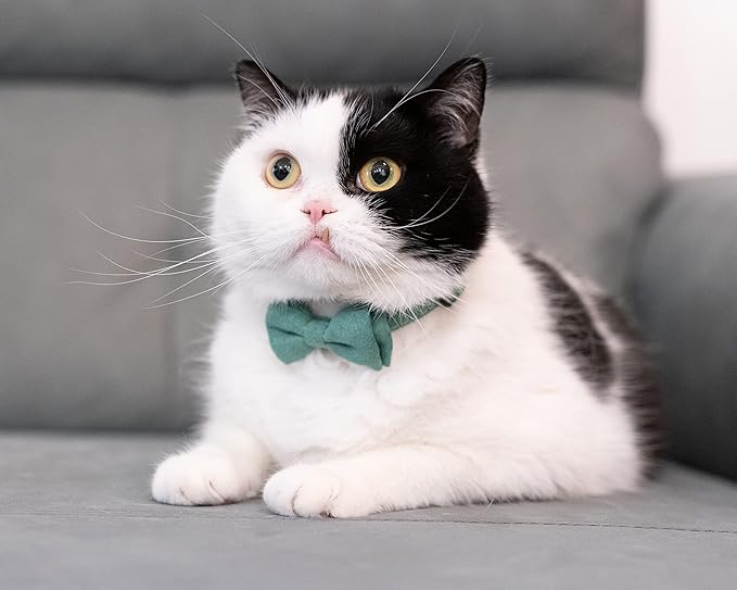 Cat Collar with Bow Tie Bell Breakaway Kitten Small Pet Safety Solid Wedding Basic Pure Color Suede Soft Adjustable [1pc] Green