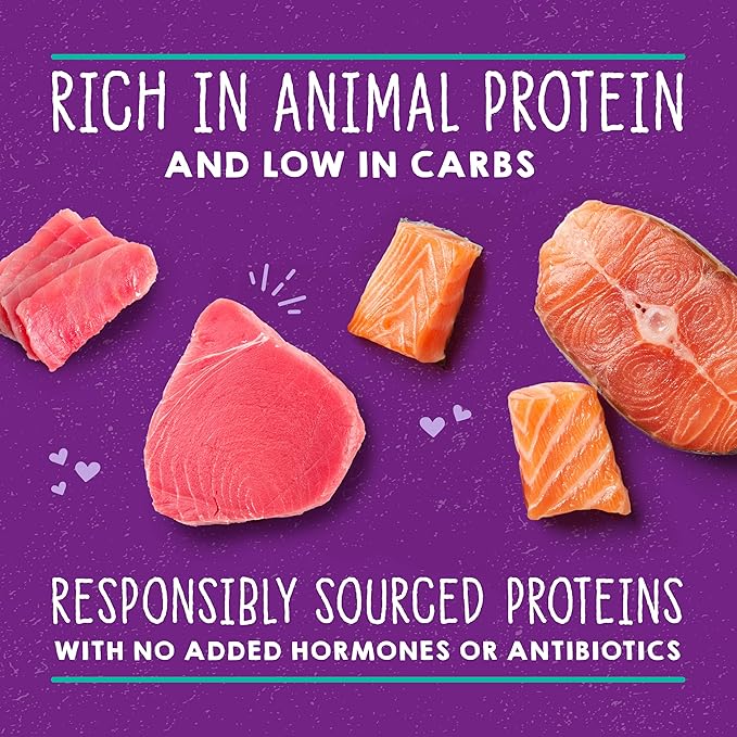 Stella & Chewy's Carnivore Cravings Savory Shreds - Wet Cat Food - High-Moisture Formula with Premium Real Meat - Perfect for Picky Eaters - Tuna & Salmon Recipe, 2.8 oz, 12 Count