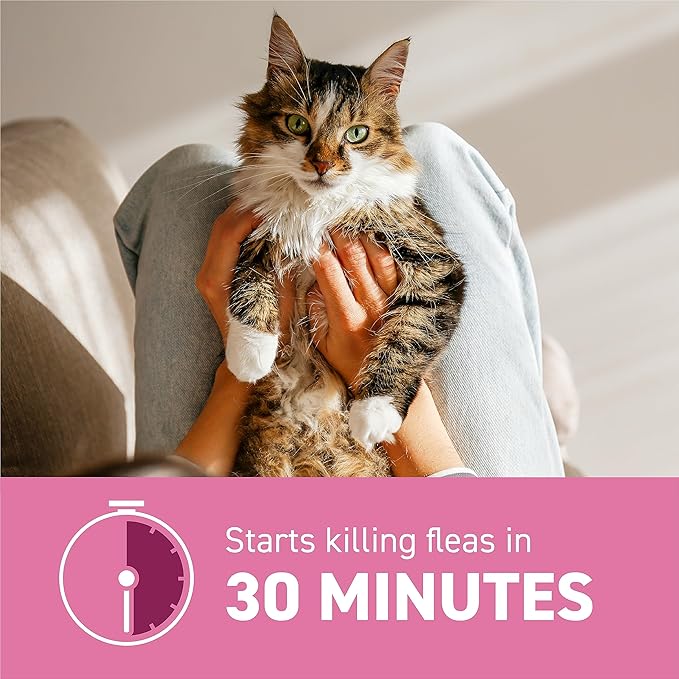 ADVECTA Flea Prevention for Small Cats 5-9 lbs (2 Doses) + CAPSTAR Flea Treatment for Cats 2-25 lbs (6 Doses) Bundle