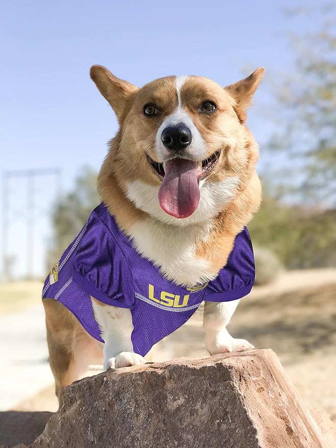 NCAA College Louisiana State University Tigers Mesh Jersey for Dogs & Cats, X-Large. Licensed Big Dog Jersey with Your Favorite Football/Basketball College Team (Pack of 2)