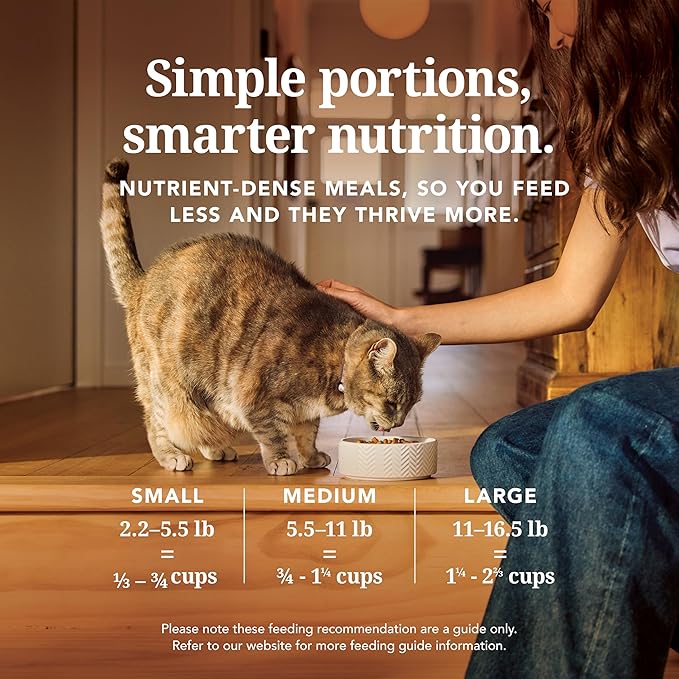 Feline Natural High Protein Dry Cat Food, Freeze-Dried Diet with 98% Meat, Organs & Seafood, No Peas, Grains, or Artificial Additives, Made in New Zealand, Beef & Hoki, 11oz