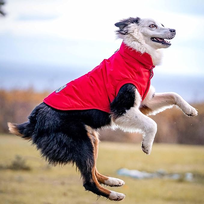 Blueberry Pet Waterproof Cozy Dog Puffer Coat – True Red Winter Jacket for Small & Medium Dogs, Warm Outdoor Apparel