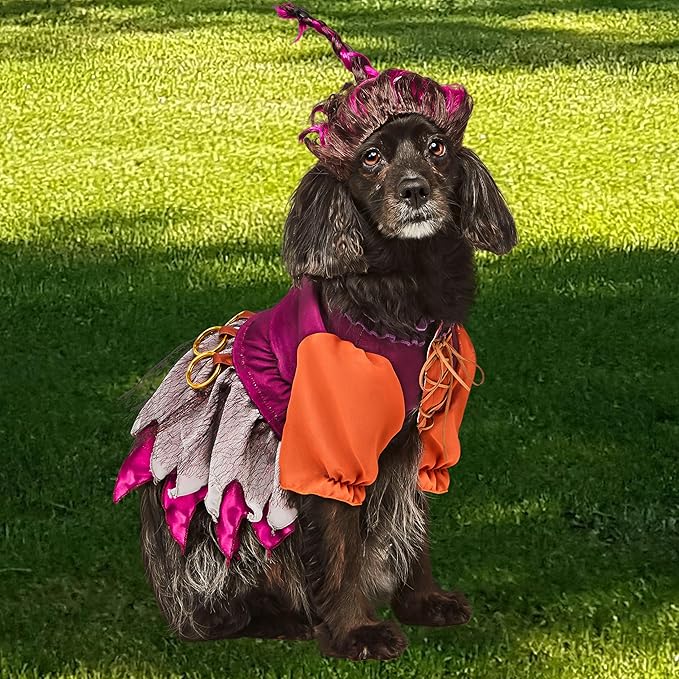 Rubies Disney Hocus Pocus Mary Sanderson Pet Costume and Wig