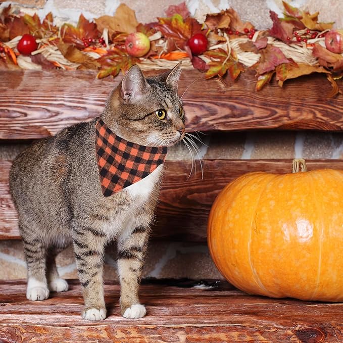 ADOGGYGO Holiday Cat Collars Breakaway with DIY Pumpkin Maple Charms, 2 Pack Halloween Thanksgiving Kitten Collar with Removable Bowtie Bandana, Plaid Bandana Collar for Kittens Cats