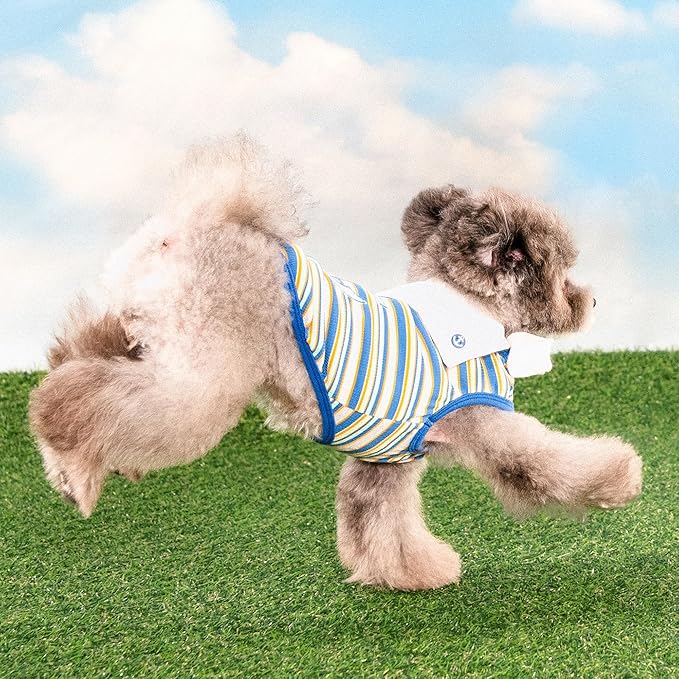 Puppia Perri Dog Shirt Round NeckTrendy Fashionable Cute Dog Apparel for Small and Medium Dogs, Blue, X-Large