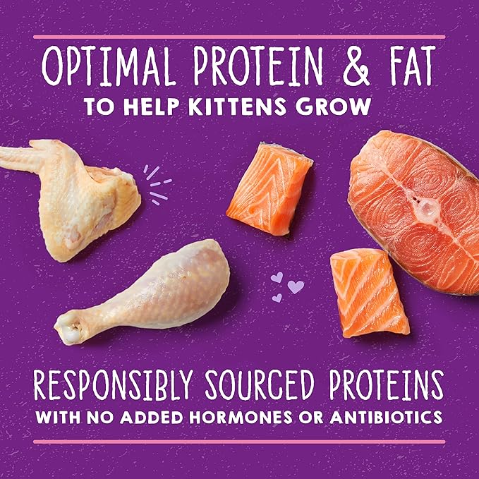 Stella & Chewy's Carnivore Cravings Purrfect Paté - Premium Grain-Free Wet Kitten Food - Chicken & Salmon Recipe - High Protein with Bone Broth - Perfect for Picky Kittens - 2.8oz Cans (12 Pack)
