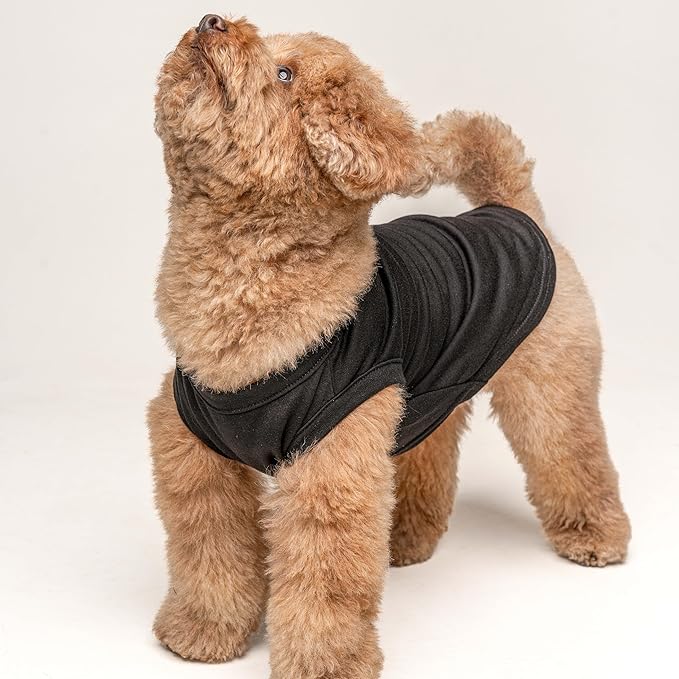Big Brother with Paw Dog Tee Shirt | Sleeveless | Sizes for Puppies, Toys and Large Breeds (Black, 3X-Large 87)