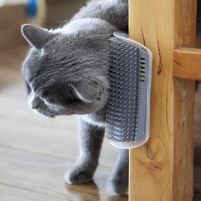 Miwoowim Extended (6.1") 2 Pack Self Grooming Cat Brush - Wall Corner Scratcher with Massage Combs for Long and Short Fur Cats, Kittens (Grey)