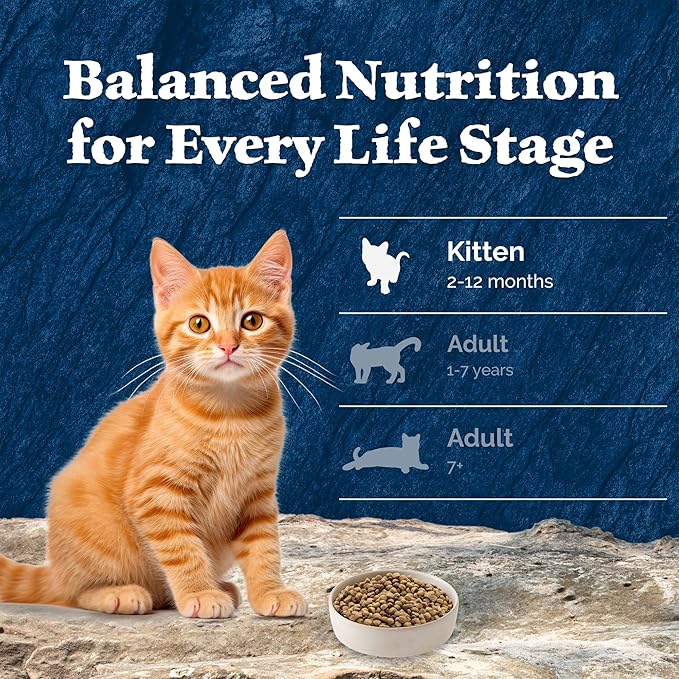 Blue Buffalo Wilderness Natural Kitten Dry Cat Food, with DHA and ARA to Support Brain and Eye Development, High-Protein and Grain-Free Diet, Chicken, 2-lb Bag