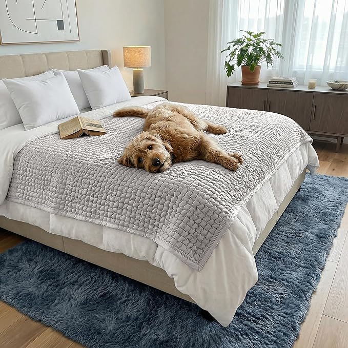 PAULATO BY GA.I.CO. Waterproof Blanket for Bed – Queen Absorbent Couch Cover – Machine Washable Stain-Proof Pad for Large Sofa – Pets Dogs & Cats Friendly Protector - Light Grey
