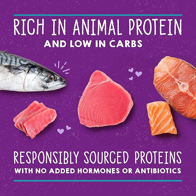 Stella & Chewy's Carnivore Cravings Purrfect Paté - Premium Grain-Free Wet Cat Food - Salmon, Tuna & Mackerel Recipe - High Protein with Bone Broth - Perfect for Picky Eaters - 2.8oz Cans (12 Pack)